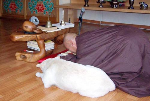 ����ũ��� ����