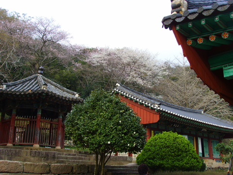 ����ũ��� ����