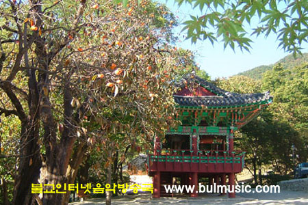 ����ũ��� ����