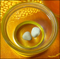 ����ũ��� ����