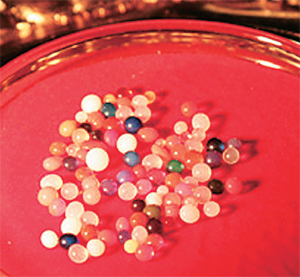 ����ũ��� ����