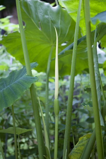 ����ũ��� ����