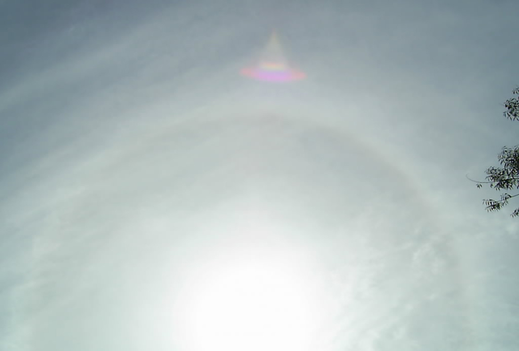 ����ũ��� ����