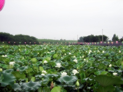 ����ũ��� ����