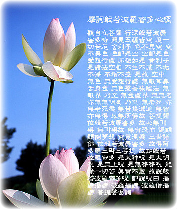 ����ũ��� ����