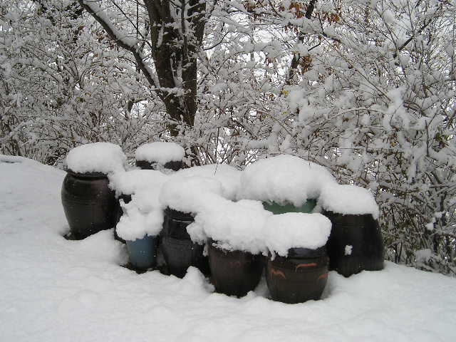 ����ũ��� ����